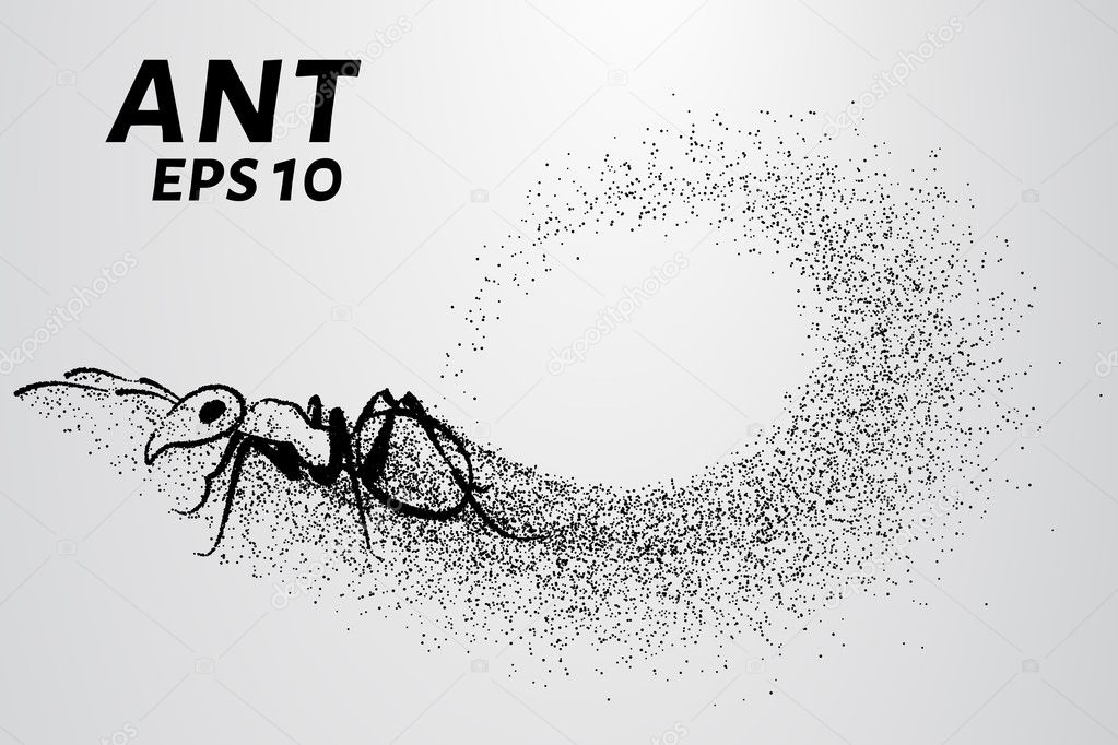 Ant of the particles. The ant consists of small circles. Vector illustration