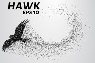 Parçacıkların Hawk. Şahin silüeti küçük daire oluşur. Vektör çizim