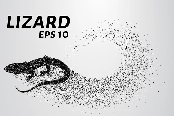 Kertenkele parçacıkların. Bir kertenkele silüeti küçük daireler var. Vektör çizim