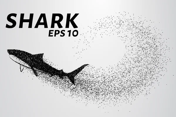 Der Hai aus dem Teilchen. Die Silhouette des Hais besteht aus kleinen Kreisen. Vektorillustration — Stockvektor