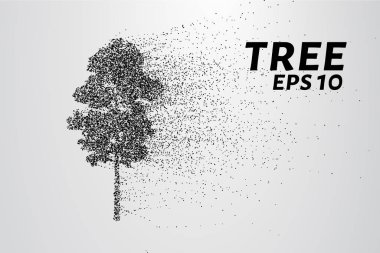 Parçacıklar ağacı. Ağaç küçük daire ve noktalar Rüzgar gözyaşları. vektör çizim