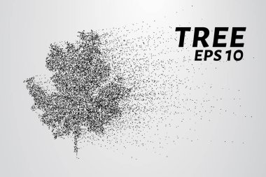 Parçacıklar ağacı. Ağaç küçük daire ve noktalar Rüzgar gözyaşları. vektör çizim