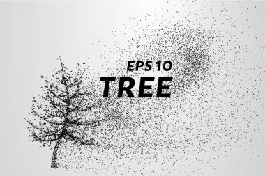 Parçacıklar ağacı. Ağaç küçük daire ve noktalar Rüzgar gözyaşları. vektör çizim.