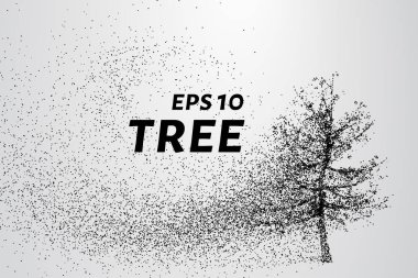 Parçacıklar ağacı. Ağaç küçük daire ve noktalar oluşur.