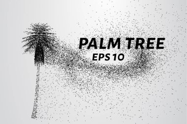 Parçacıklar avuç. Palma küçük daire ve nokta dökülür. Vektör çizim