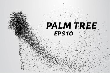 Parçacıklar avuç. Palmiye küçük daire ve noktalar oluşur.