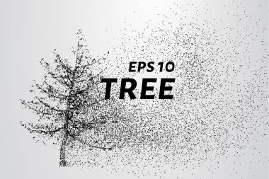 Parçacıklar ağacı. Ağaç küçük daire ve noktalar oluşur.