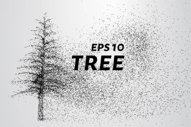 Parçacıklar ağacı. Ağaç küçük daire ve noktalar oluşur.