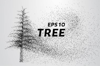 Parçacıklar ağacı. Ağaç küçük daire ve noktalar oluşur.