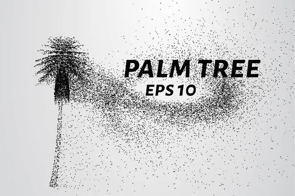 Parçacıklar avuç. Palma küçük daire ve nokta dökülür. Vektör çizim