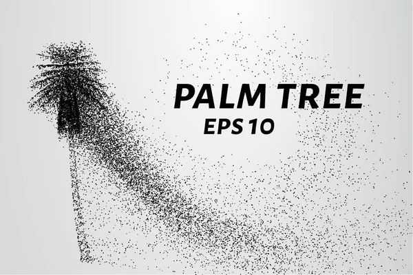 Parçacıklar avuç. Palmiye küçük daire ve noktalar oluşur.