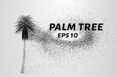 Parçacıklar avuç. Palmiye küçük daire ve noktalar oluşur.