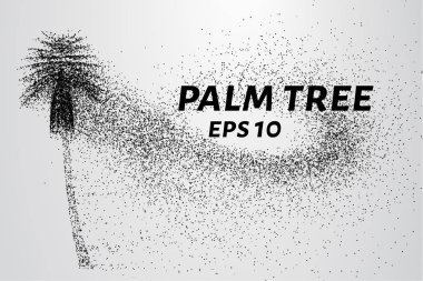 Parçacıklar avuç. Palma küçük daire ve nokta dökülür. Vektör çizim