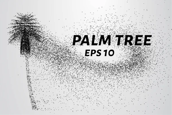 Parçacıklar avuç. Palma küçük daire ve nokta dökülür. Vektör çizim