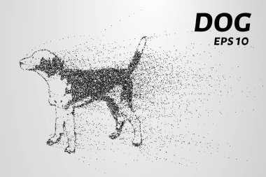 Köpek parçacıkların. Köpek siluet daireler ve noktaları oluşur. Vektör çizim