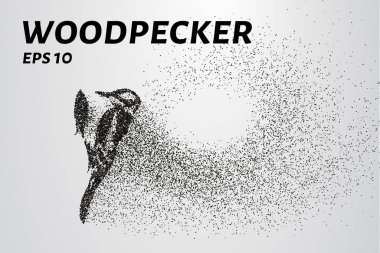 Parçacıklardan ağaçkakan. Ağaçkakan daireler ve noktalardan oluşur. Vektör illüstrasyonu