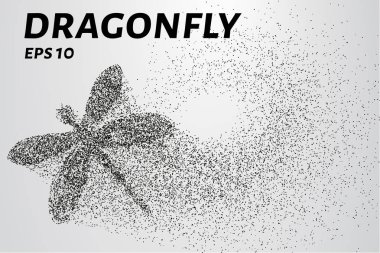 Parçacıkların yusufçuk böceği. Yusufçuk daireler ve noktalardan oluşur. Vektör illüstrasyonu