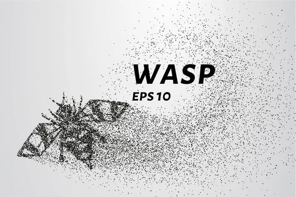 Ta tag i partiklarna. Wasp består av cirklar och punkter. Vektorillustration. — Stock vektor
