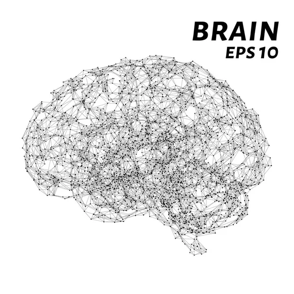 Beyin noktalar, çizgiler ve üçgenler oluşur. Yapay zeka karanlık bir arka plan üzerinde şeklinde çokgen şeklin. Vektör çizim. Beyin kavramı