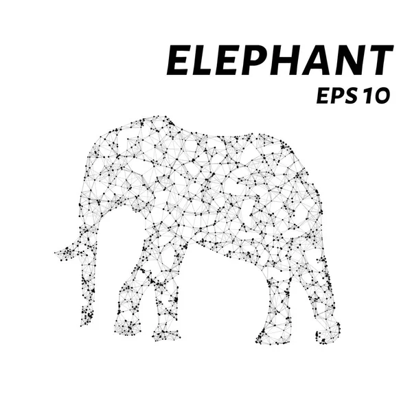 Der Elefant Besteht Aus Punkten Linien Und Dreiecken Die Polygonform — Stockvektor