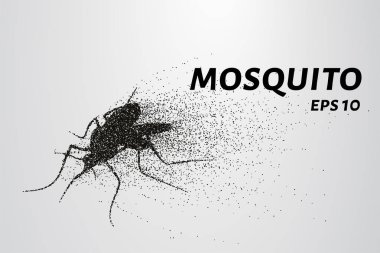 Parçacıkların sivrisineği. Sivrisinek küçük daireler ve noktalardan oluşur. Vektör illüstrasyonu