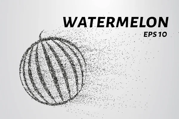Wassermelone Der Teilchen Wassermelone Besteht Aus Kleinen Kreisen Und Punkten — Stockvektor