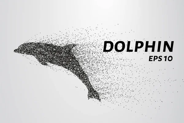 Delphin Der Teilchen Der Delfin Besteht Aus Kreisen Und Punkten — Stockvektor