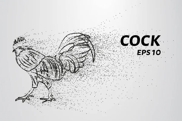 Coq Des Particules Coq Compose Cercles Points Illustration Vectorielle — Image vectorielle