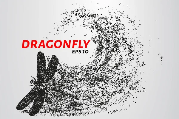 Trollslända Partiklarna Dragonfly Består Cirklar Och Punkter Vektorillustration — Stock vektor