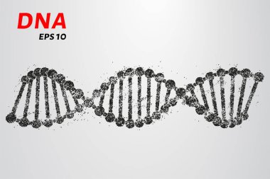Parçacıkların DNA 'sı. DNA silueti küçük çemberlerden oluşur