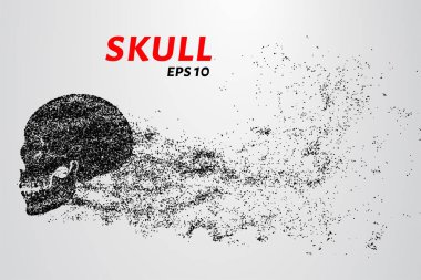 Parçacıkların kafatası. Kafatası çember ve noktalardan oluşur. Vektör illüstrasyonu