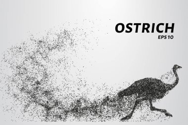 Parçacıklardan devekuşu. Devekuşu küçük dairelerden oluşur. Vektör illüstrasyonu