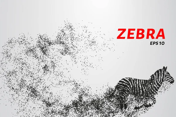 Zebra, partikeldivergente Zusammensetzung, Vektorillustration. Silhouette eines Zebras aus Teilchen. — Stockvektor