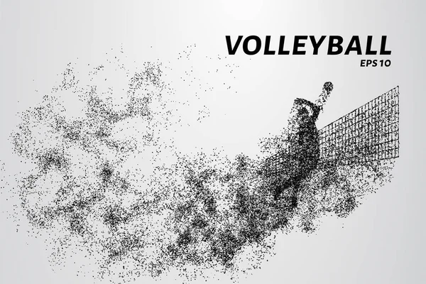 Voleybol, parçacık farklılığı bileşimi, vektör çizimi. Parçacıklardan oluşan voleybol silueti.