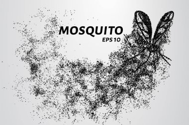 Parçacıkların sivrisineği. Sivrisinek küçük daireler ve noktalardan oluşur. Vektör illüstrasyonu