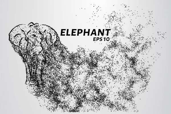 Partikelelefanten. Elefanten består av cirklar och punkter. Vektorillustration — Stock vektor