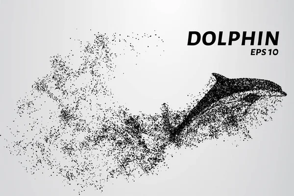 Delphin der Teilchen. Der Delfin besteht aus Kreisen und Punkten. Vektorillustration. — Stockvektor