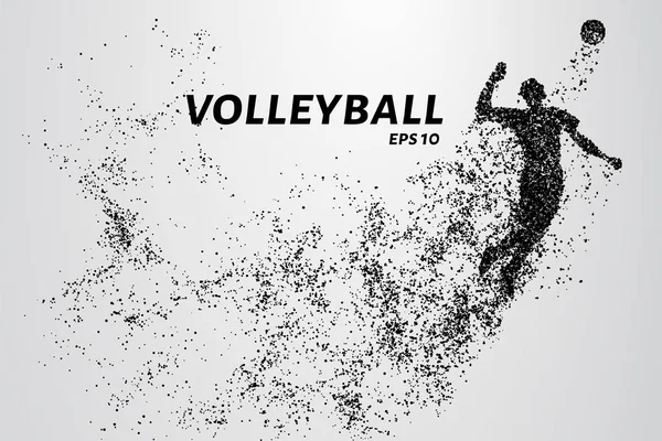 Voleybol, parçacık farklılığı bileşimi, vektör çizimi. Parçacıklardan oluşan voleybol silueti