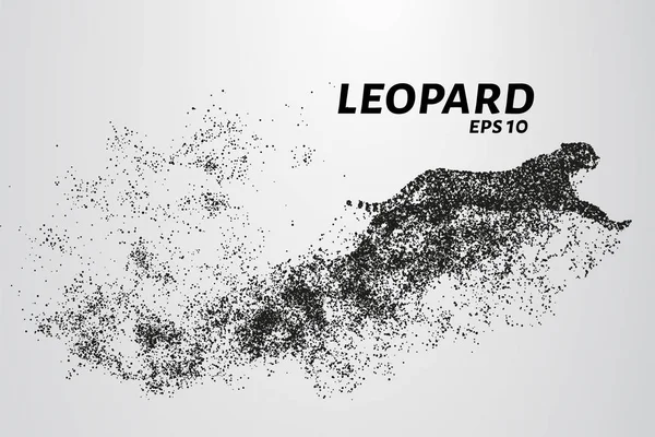 Leopard av partiklar. Leopard består av cirklar och punkter. Vektorillustration. — Stock vektor