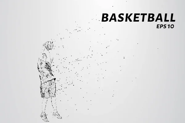 Basket av partiklarna. En silhuett av en basketspelare består av cirklar och punkter. Vektorillustration. — Stock vektor