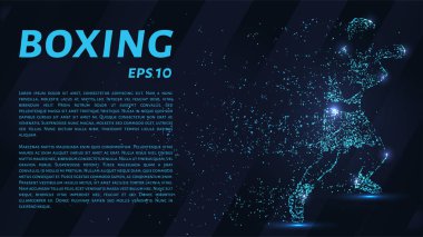 Noktalarından oluşan boksör. Parçacıklar koyu arka plan üzerinde bir boksör şeklinde. Vektör çizim. Boks kavramı