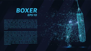 Noktalarından oluşan boksör. Parçacıklar koyu arka plan üzerinde bir boksör şeklinde. Vektör çizim. Boks kavramı