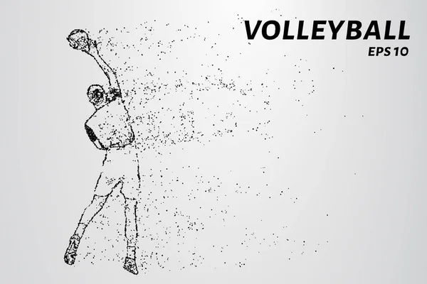 Voleibol, composição divergente de partículas, ilustração vetorial. Silhueta de um voleibol de partículas . — Vetor de Stock