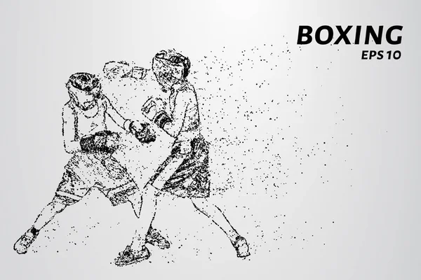 Parçacıkların boksör. Boksör küçük daireler yapılır. Saldırı poz boksör. Vektör çizim.