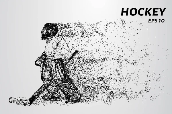 Хоккей Мячом Голкипер Состоит Кругов Очков Векторная Иллюстрация — стоковый вектор
