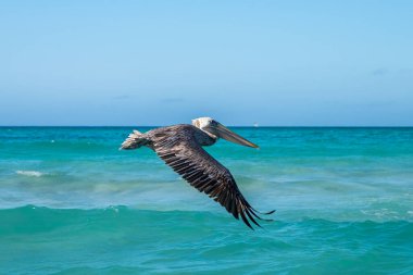 Küba adası. Atlantik Okyanusu. Varaderolar. Plaj