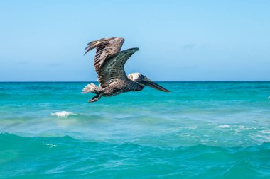 Küba adası. Atlantik Okyanusu. Varaderolar. Plaj