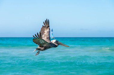 Küba adası. Atlantik Okyanusu. Varaderolar. Plaj
