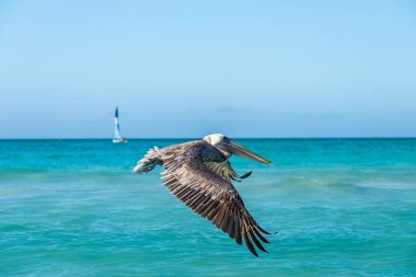 Küba adası. Atlantik Okyanusu. Varaderolar. Plaj