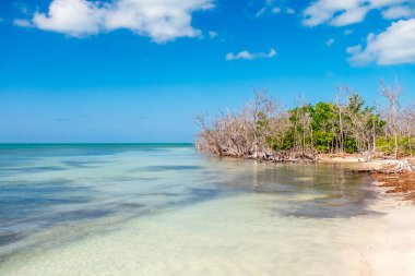 Küba adası. Atlantik Okyanusu. Bienvenidol. Cayo Blanco.